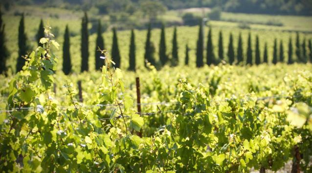 Chateau De Raissac Beziers Ngoại thất bức ảnh